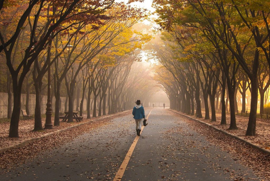 What do you want- Person walking down road with yellow trees hanging over