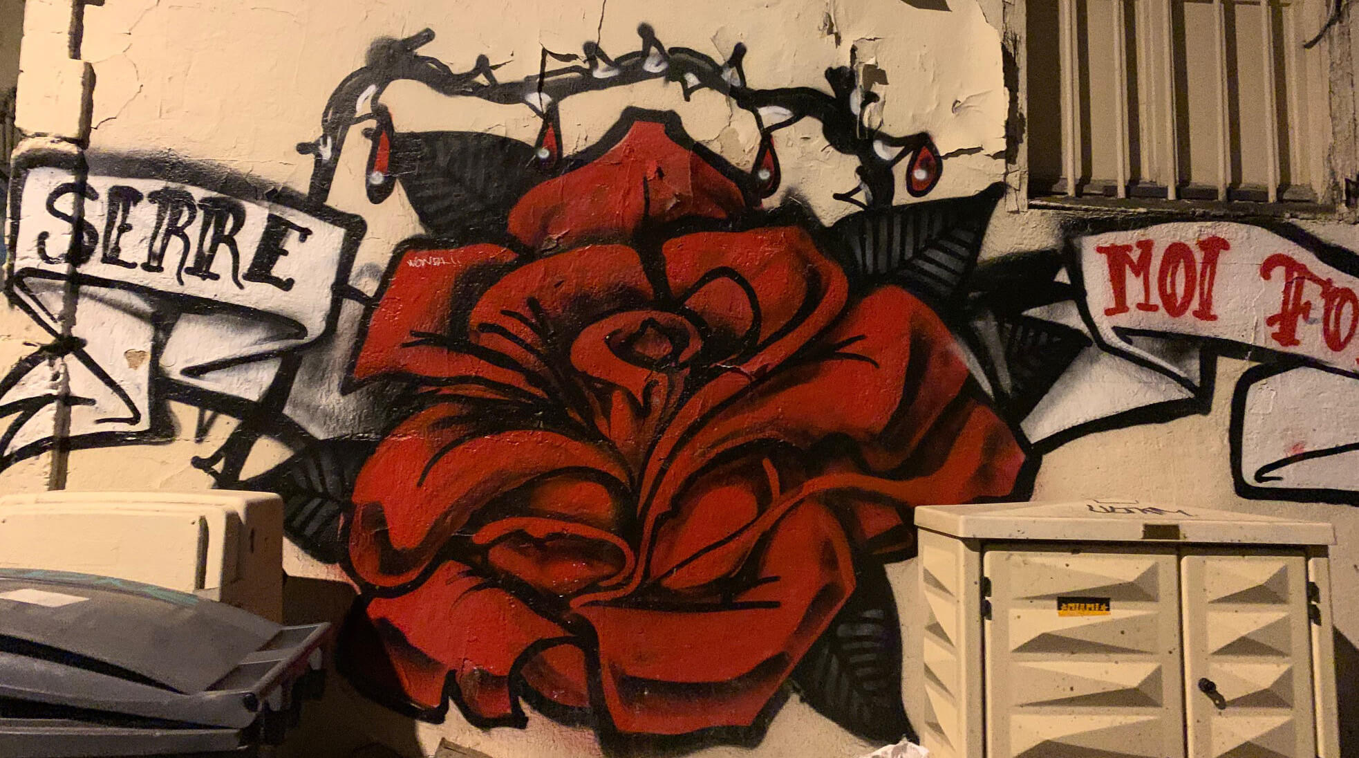 Take Time to Slow Down- Image of a Graffiti Rose